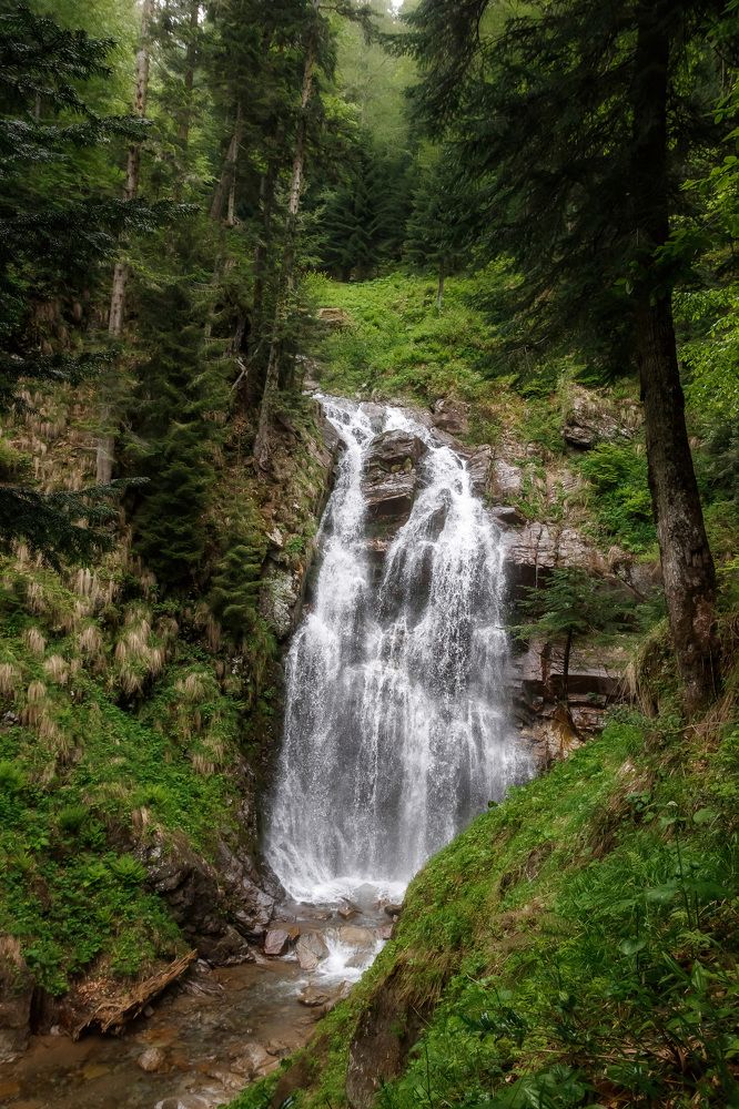 Photograph by Анатолий Чупрынин