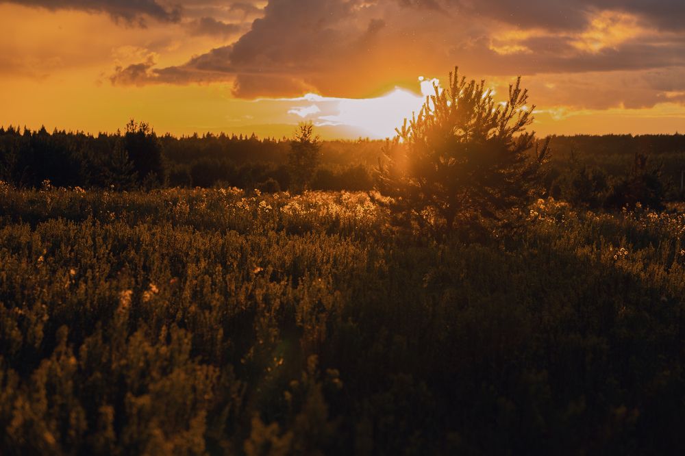 Photograph by Anastasiia Sergeeva