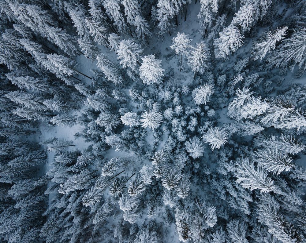 Photograph by Demir Pepic