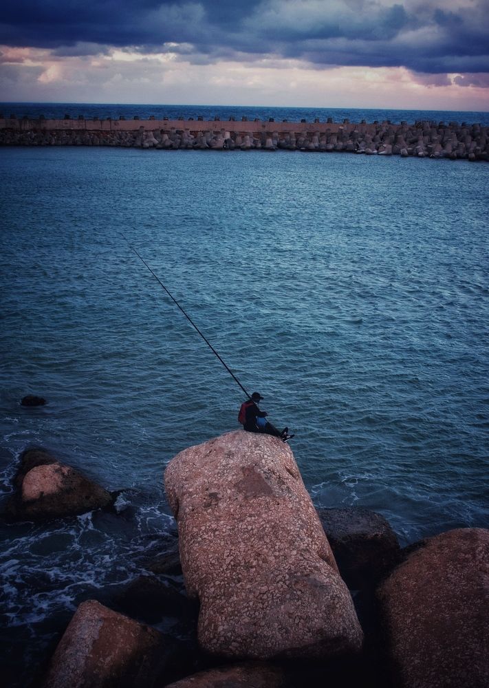 Photograph by Ahmed zaki