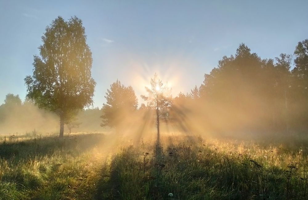 Фотография автора Кухта Мария