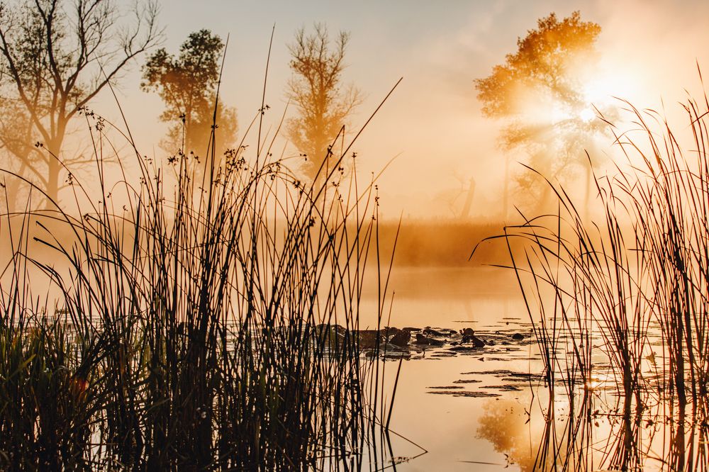 Photograph by Алина Андреева