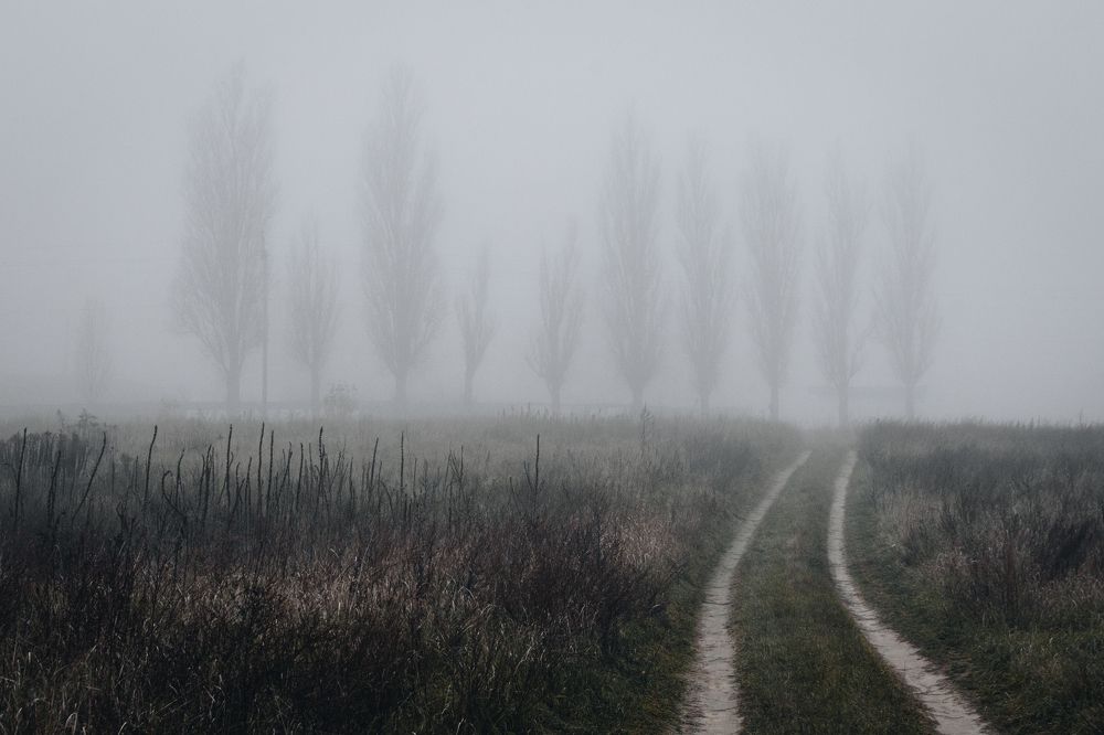 Photograph by Алина Андреева