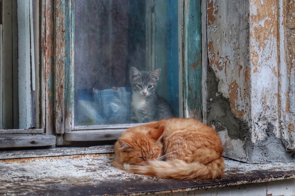 Photograph by Ирина Шумкова