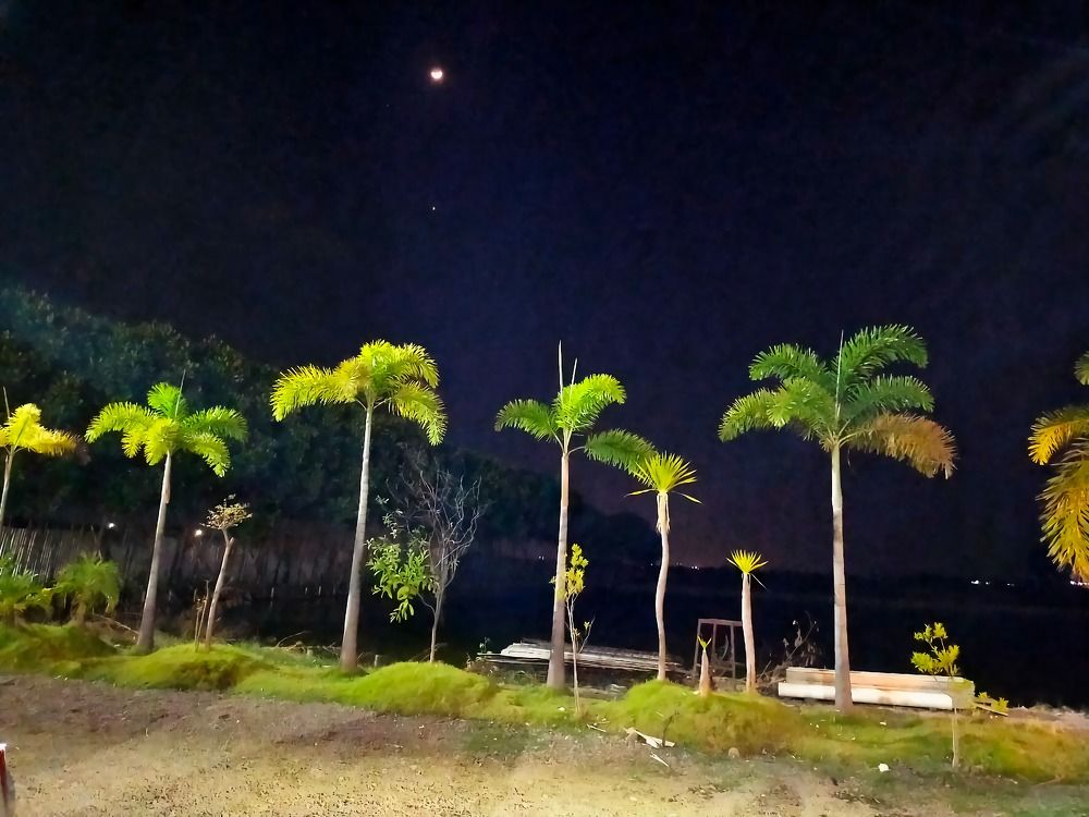 Photograph by Fitria Hida Agustina