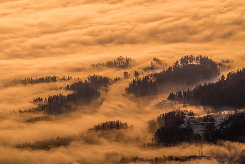 Фотография автора Kristijan Males