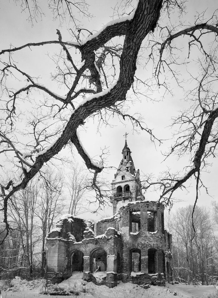 Photograph by Ирина Шумкова