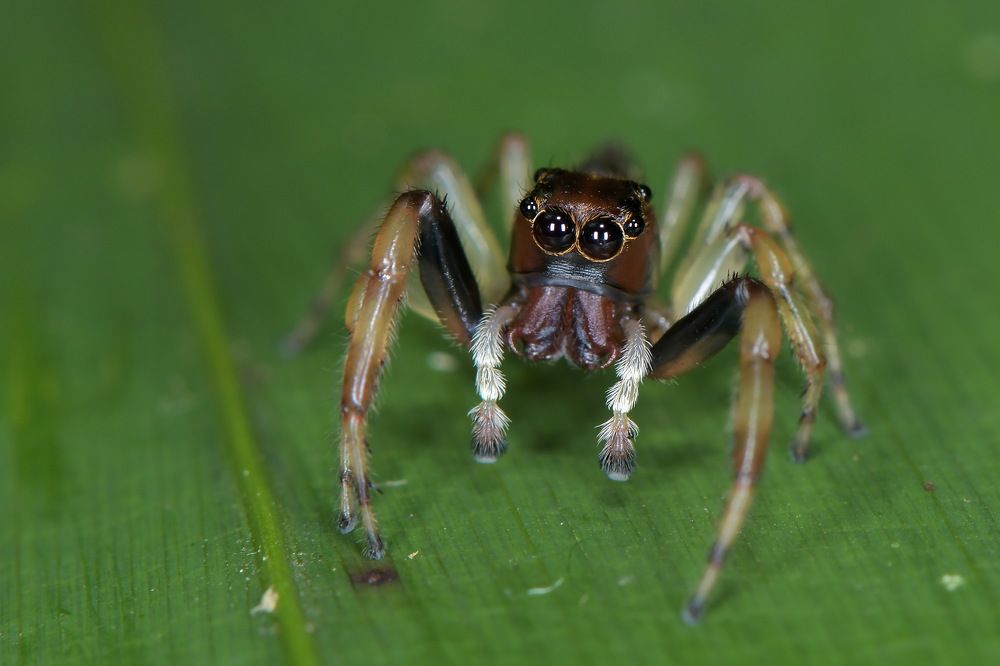 Photograph by Moura Denis