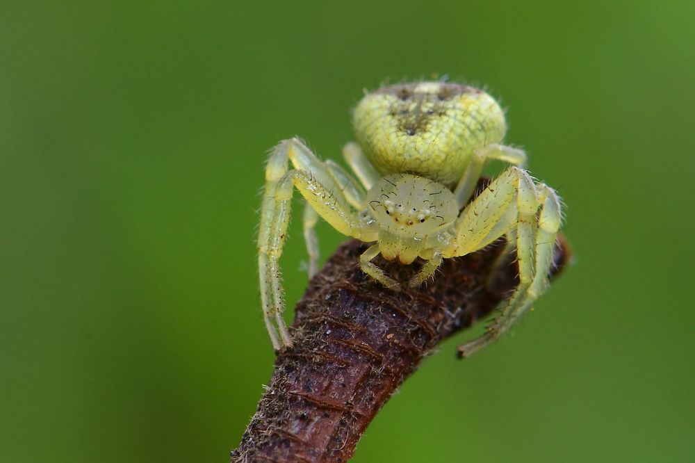 Photograph by Moura Denis