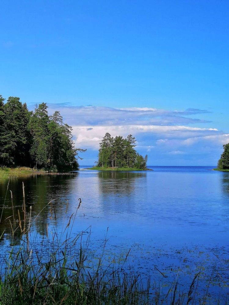 Photograph by Марцева Татьяна