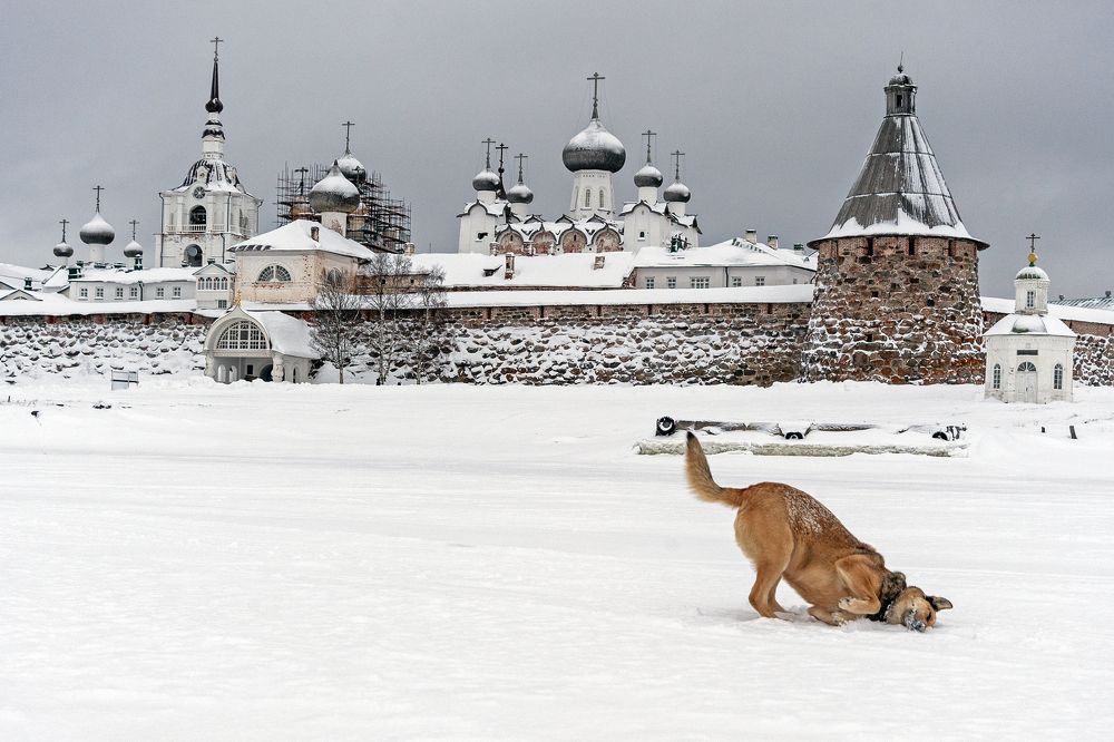 Photograph by Максим Тыщенко
