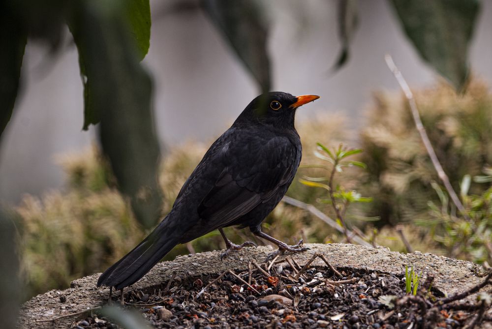 Photograph by Csótai Katalin