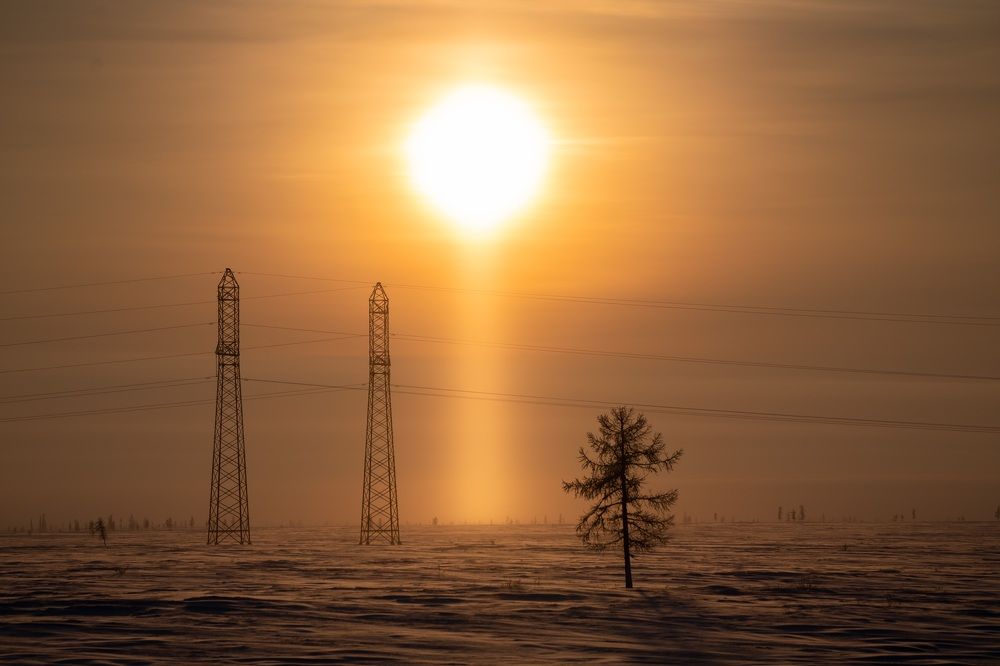 Фотография автора Виктория Ким