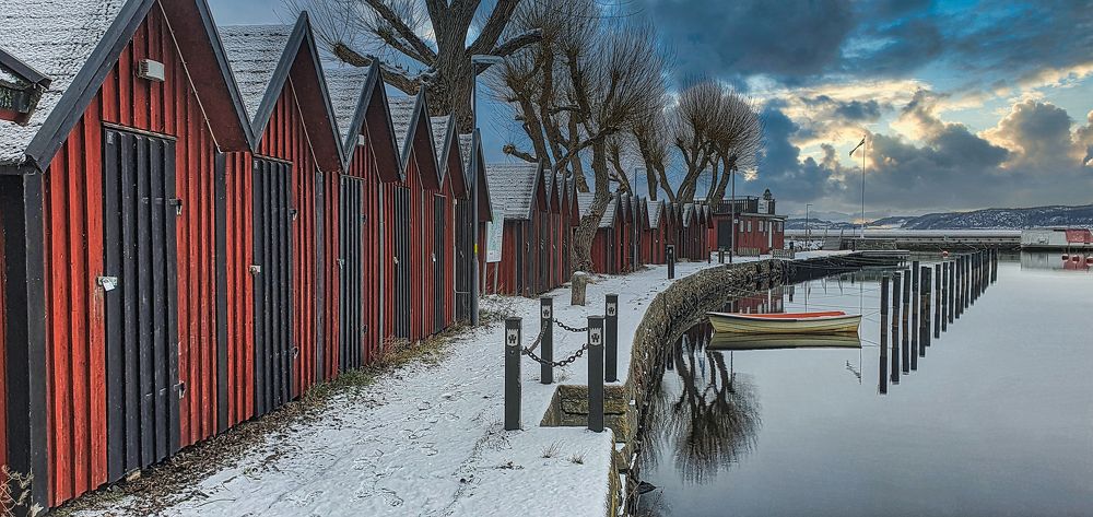 The Boat in the Harbour.