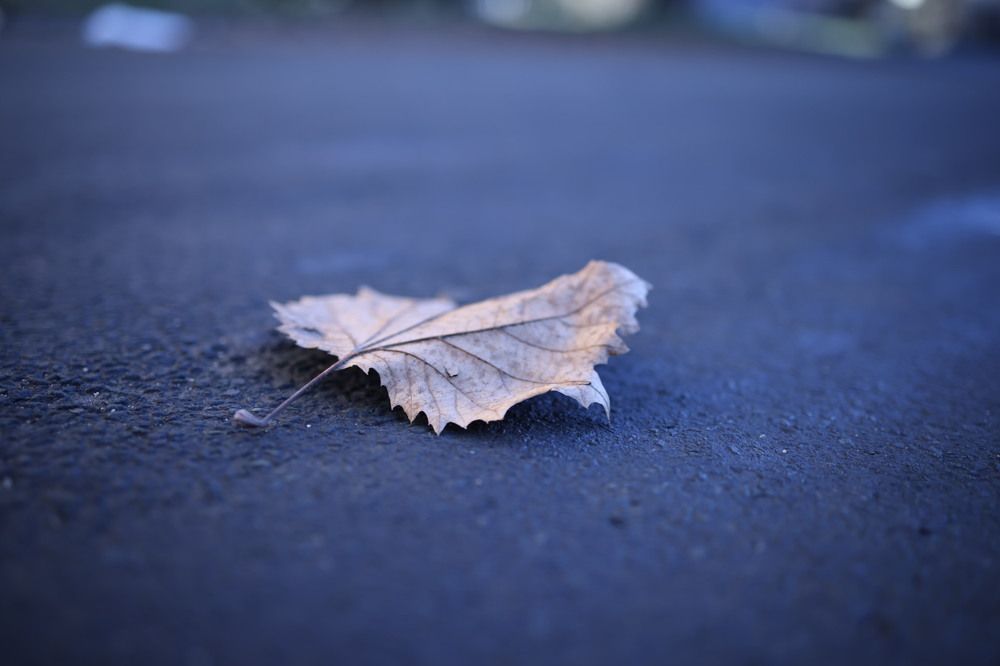 Photograph by Ольга Одаренко