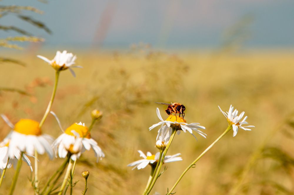 Photograph by Nataly Kiru