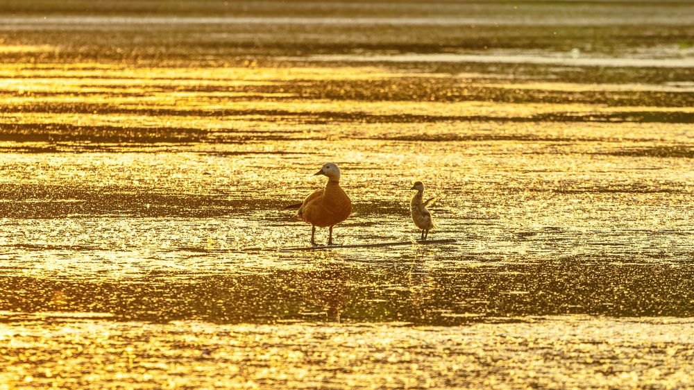 Photograph by Сергей Сергеев