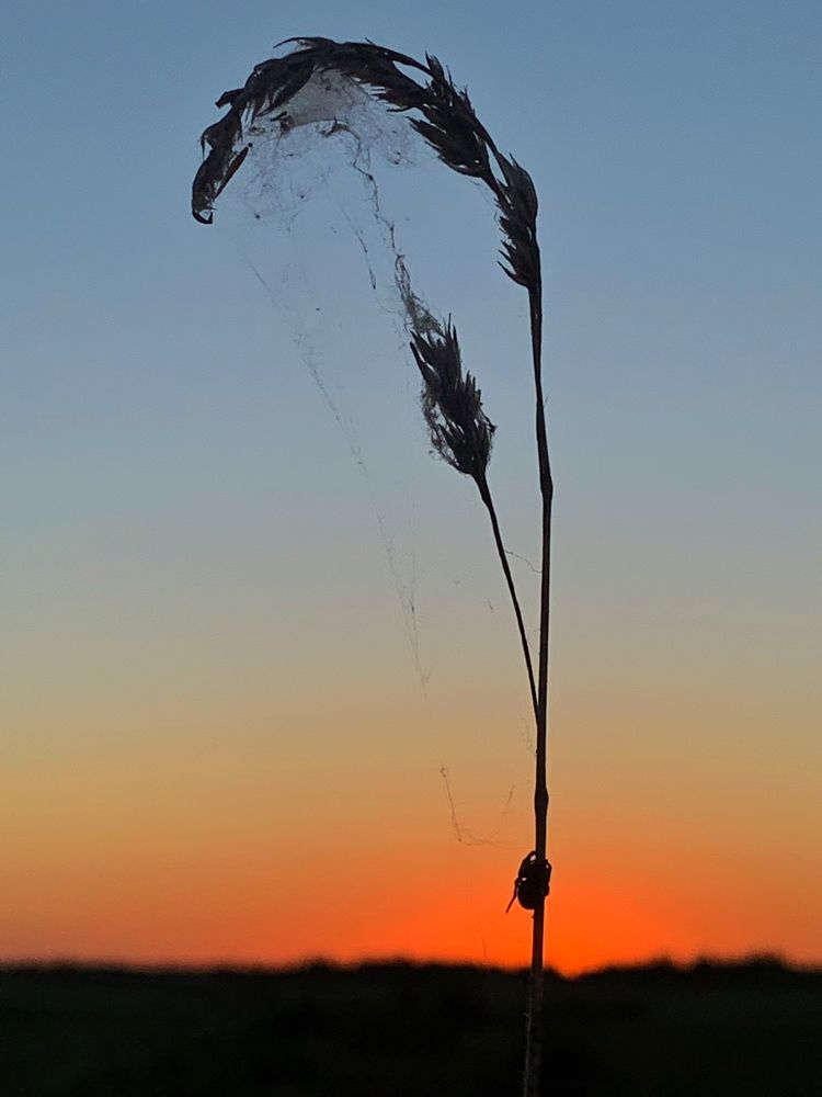 Photograph by Татьяна Гринько