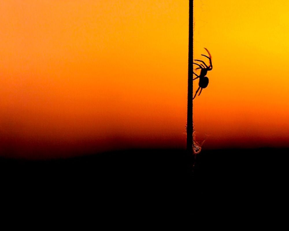 Photograph by Татьяна Гринько