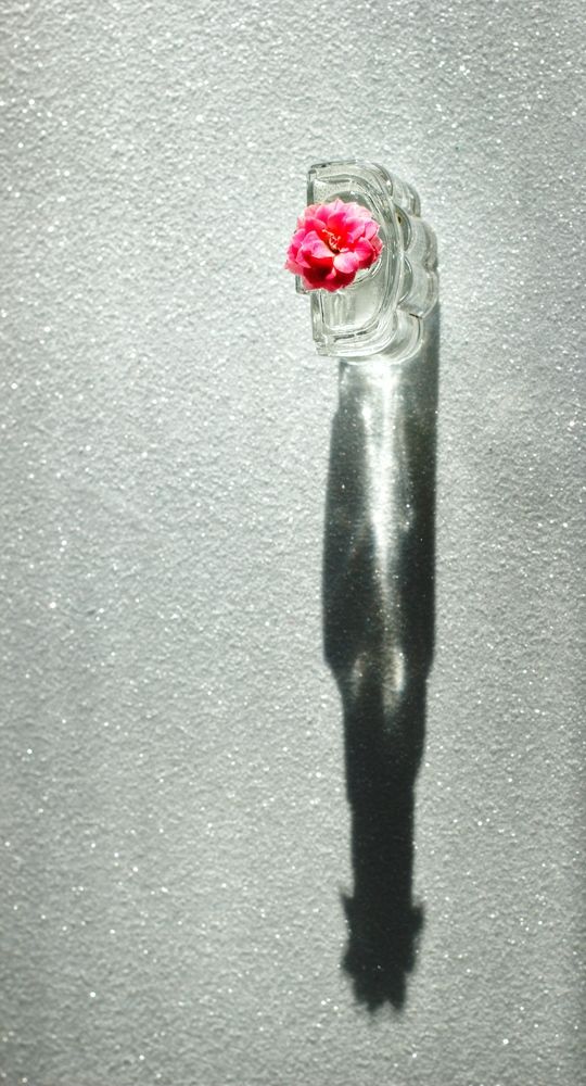Photograph by T.Ю. Гринько