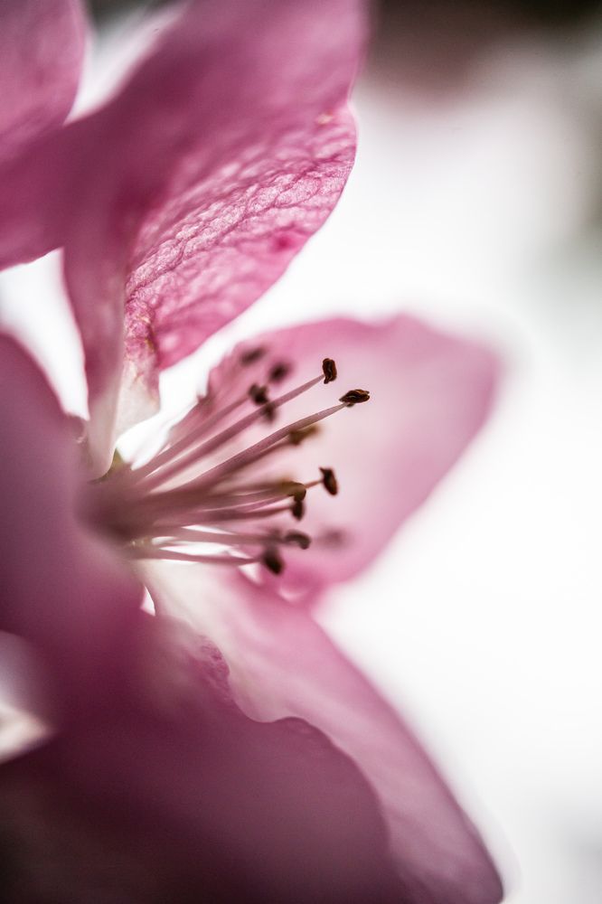 Photograph by Елена Яхнина