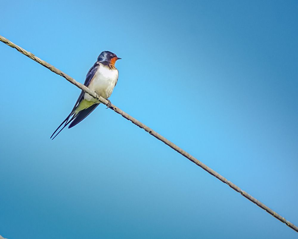 Photograph by T.Ю. Гринько