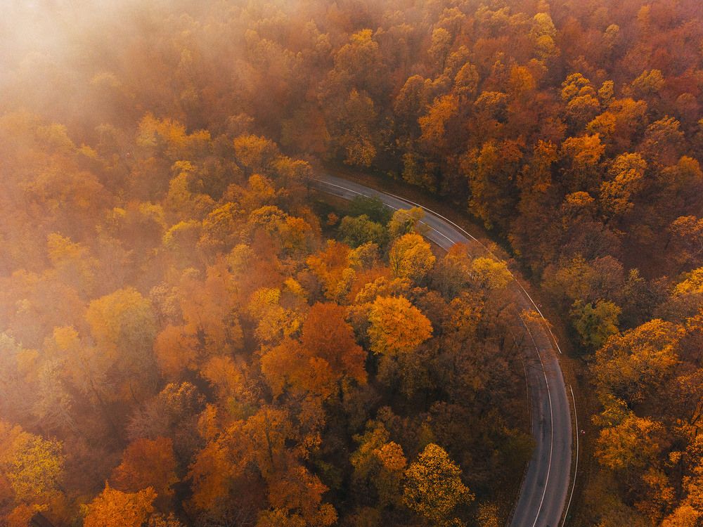 Photograph by Tomislav Safundžić