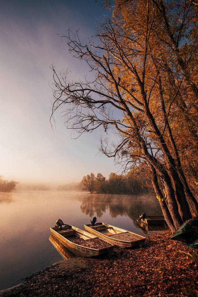 Photograph by Tomislav Safundžić