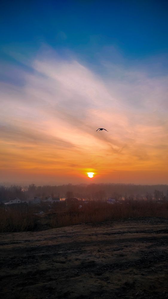 Photograph by Евгения Калугина