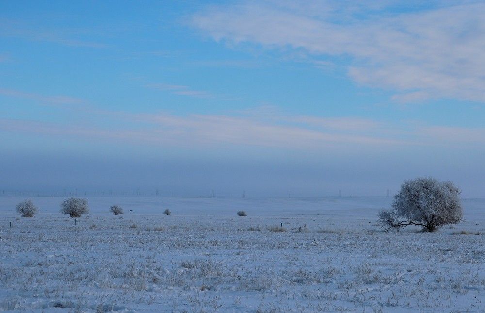 Photograph by Котельникова Татьяна