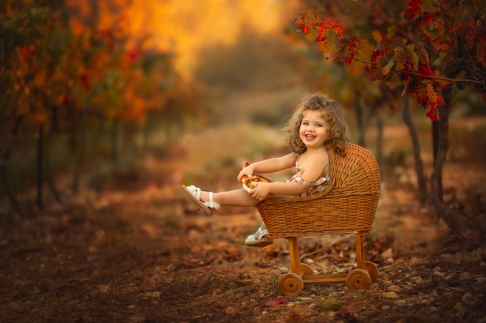 Photograph by yarden kaplan