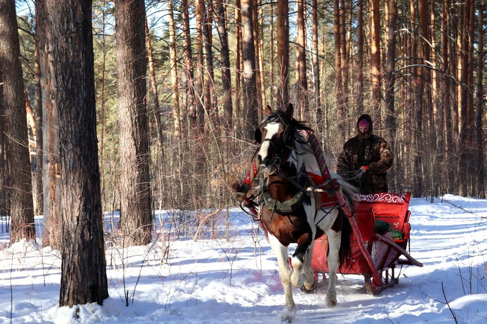 Photograph by Котельникова Татьяна