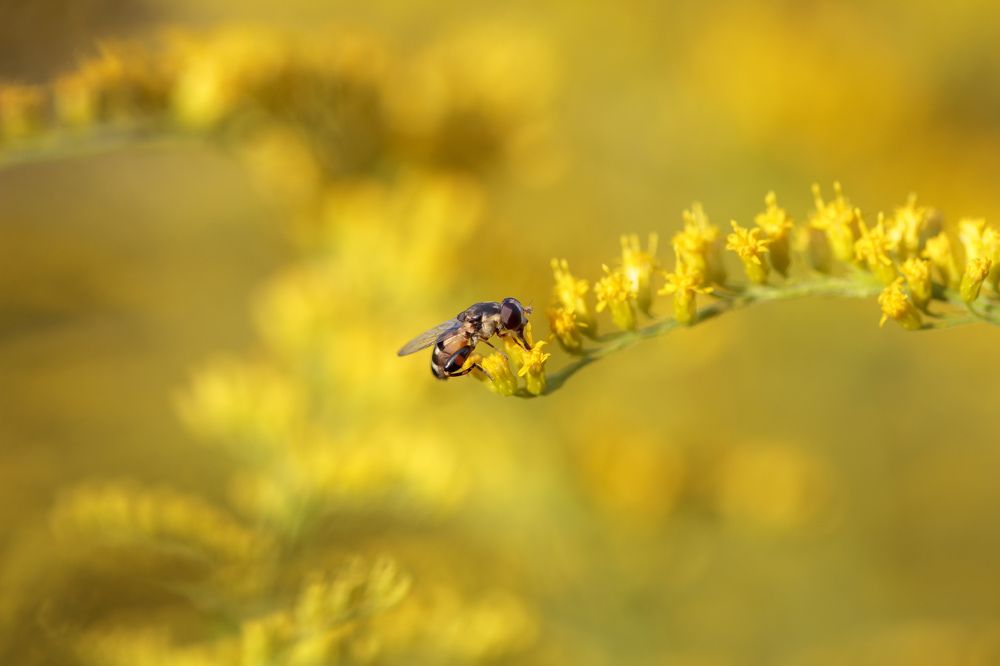 Photograph by Efremenko Nikita
