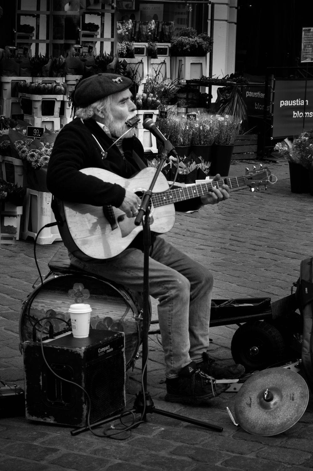 Фотография #7290328