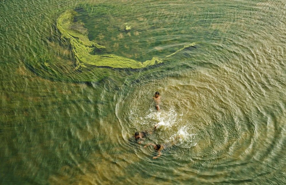 Photograph by Dipak Ray