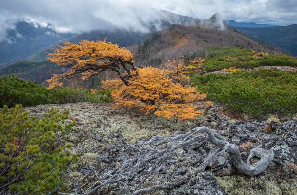 Photograph by Виталий Берков