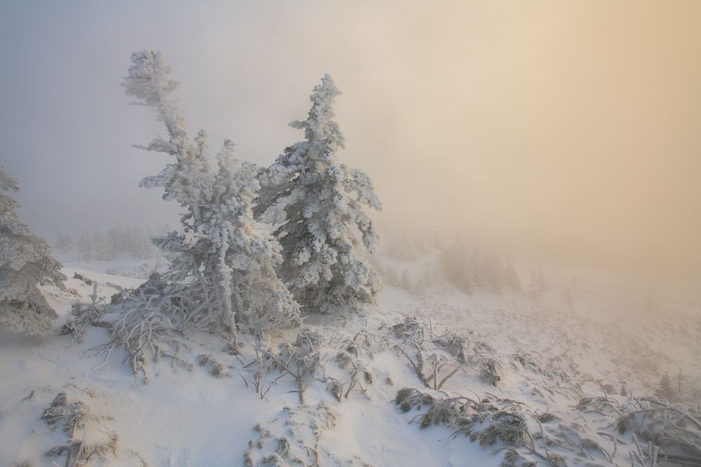 Photograph by Виталий Берков