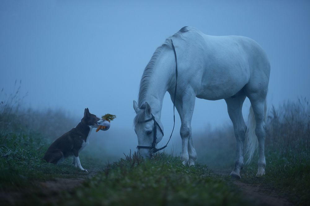 Photograph by Светлана Писарева