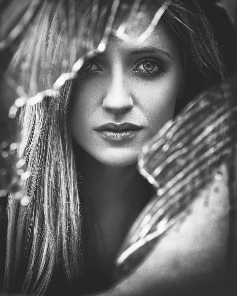 Photograph by Sebastian