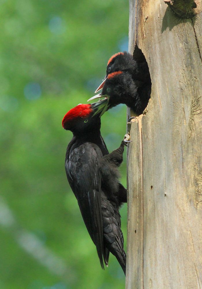 Фотография автора Михаил Крюков