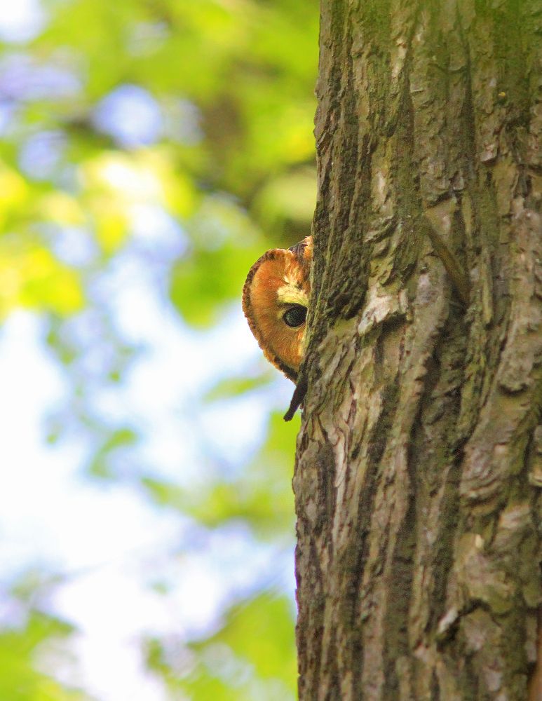 Фотография автора Михаил Крюков