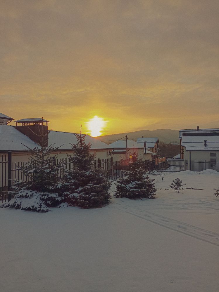 Photo #7290486