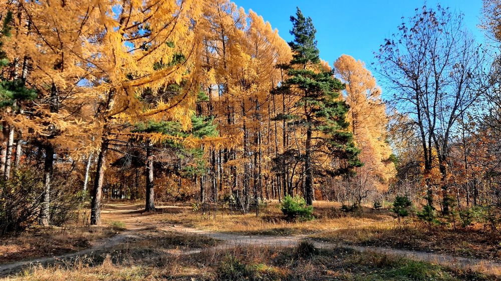 Photograph by Котельникова Татьяна