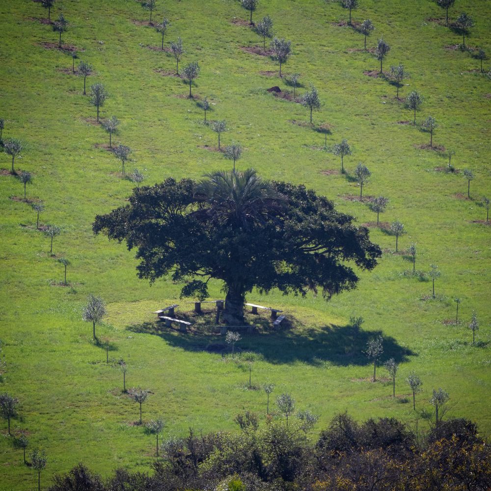 Photograph by Ruy Beck