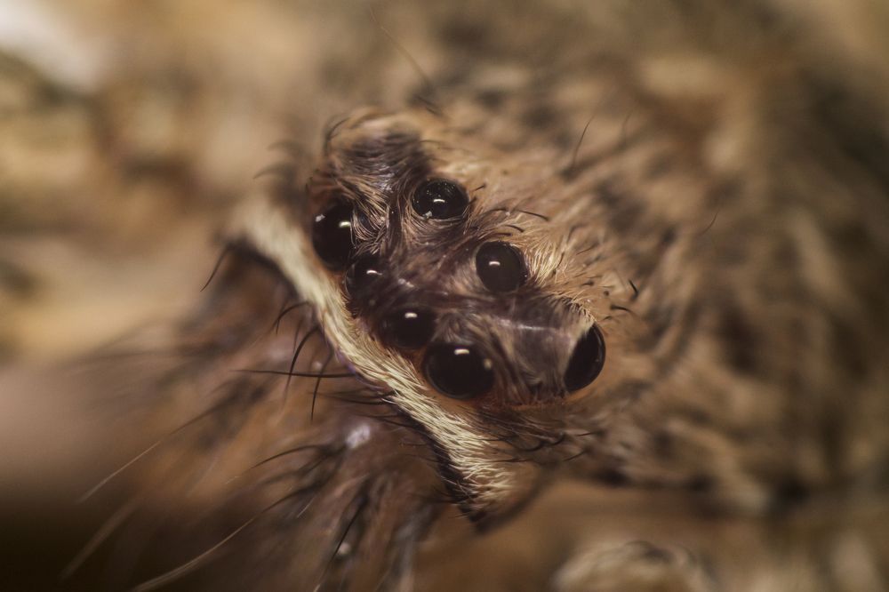 Photograph by Sameera Madusanka