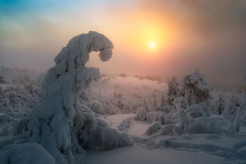 Зимнее Солнце