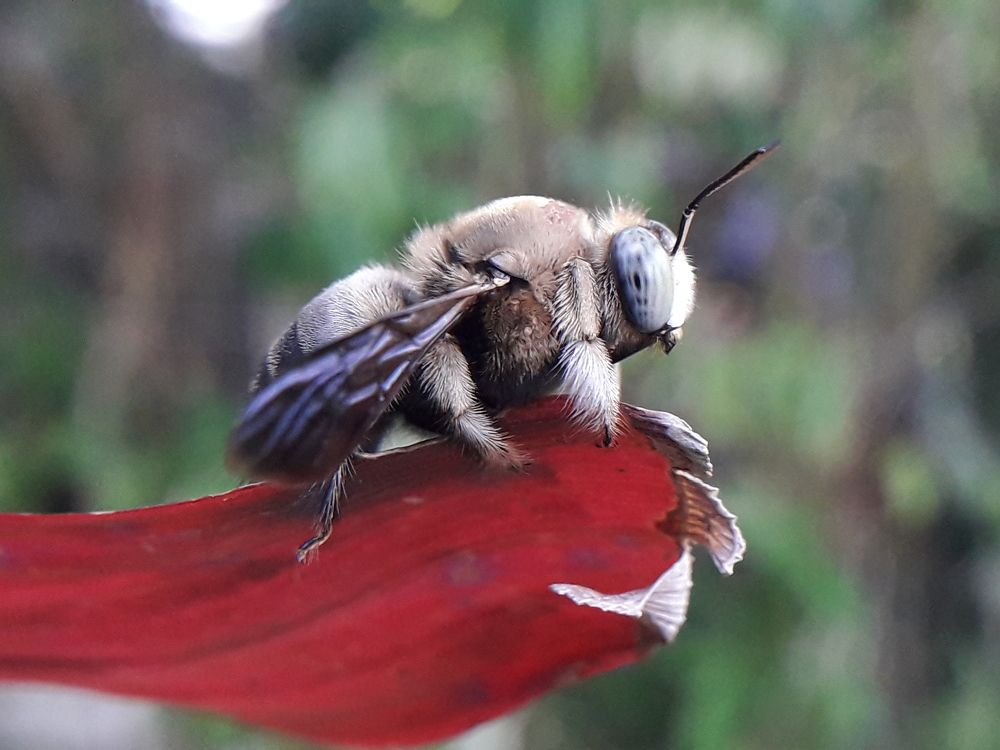 Photograph by Terence Ignatius