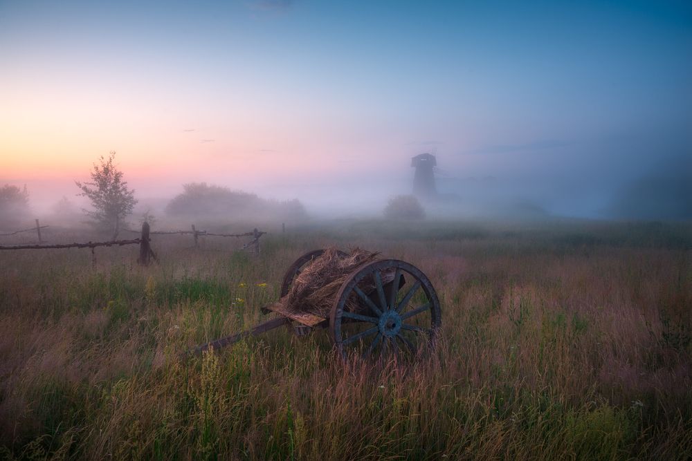 В предрассветном тумане