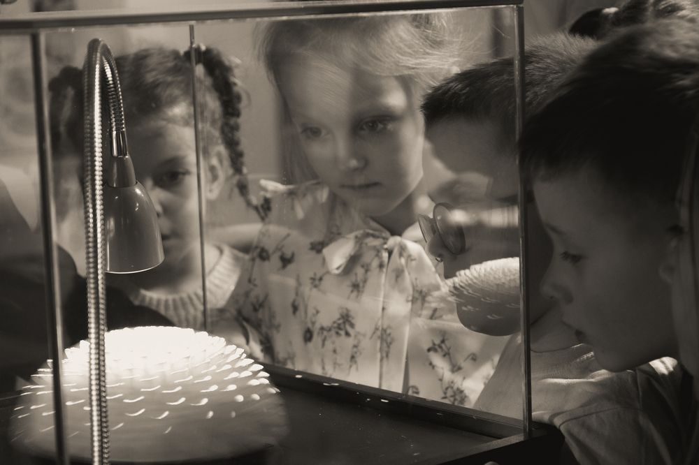 Photograph by Ольга Сидоренко