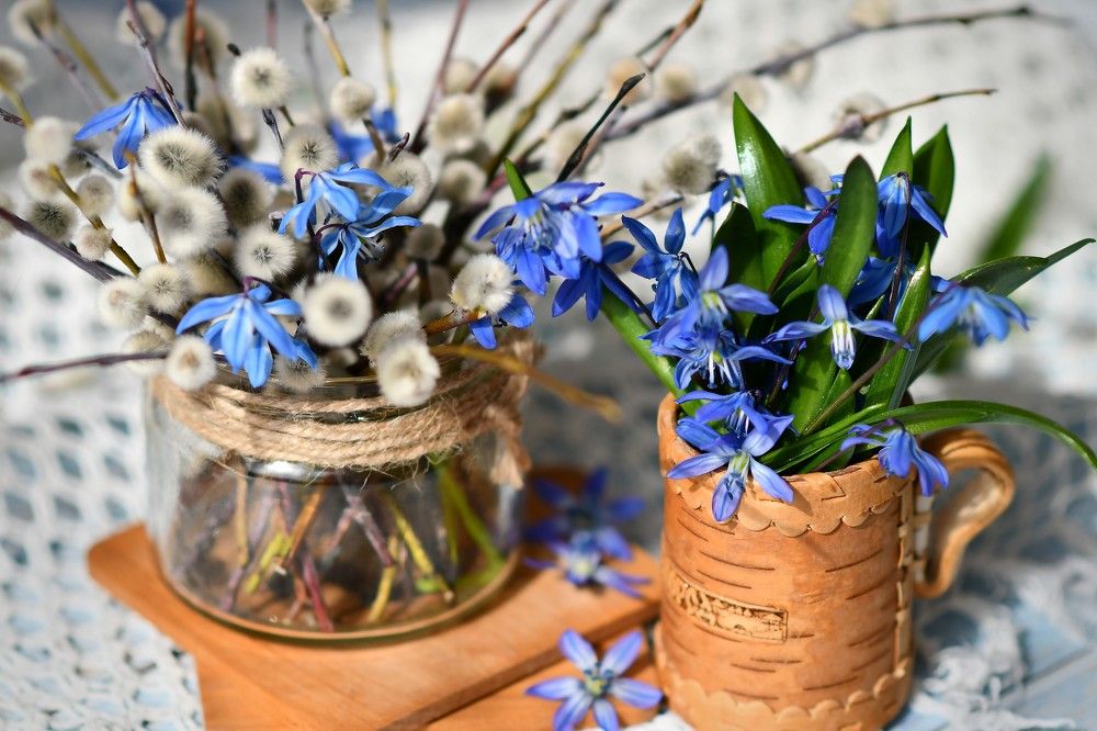 Photograph by Svetlana Jarbuse